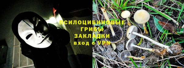прущие крисы Алексеевка