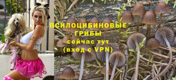 прущие крисы Алексеевка